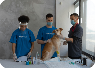 Canada Health Promotion Days