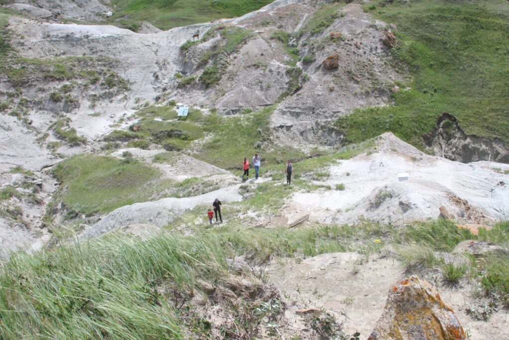 Hangar Flight Museum 
