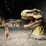 starting a charity in alberta