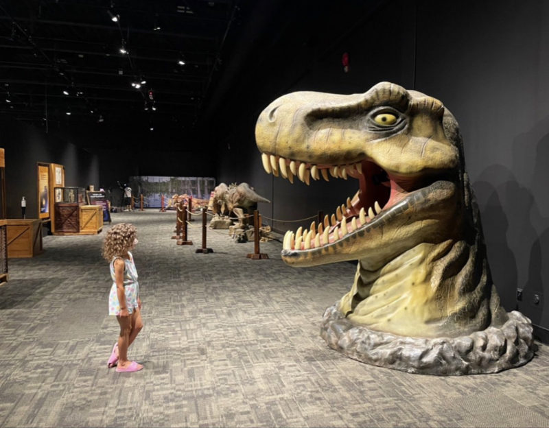 starting a charity in alberta