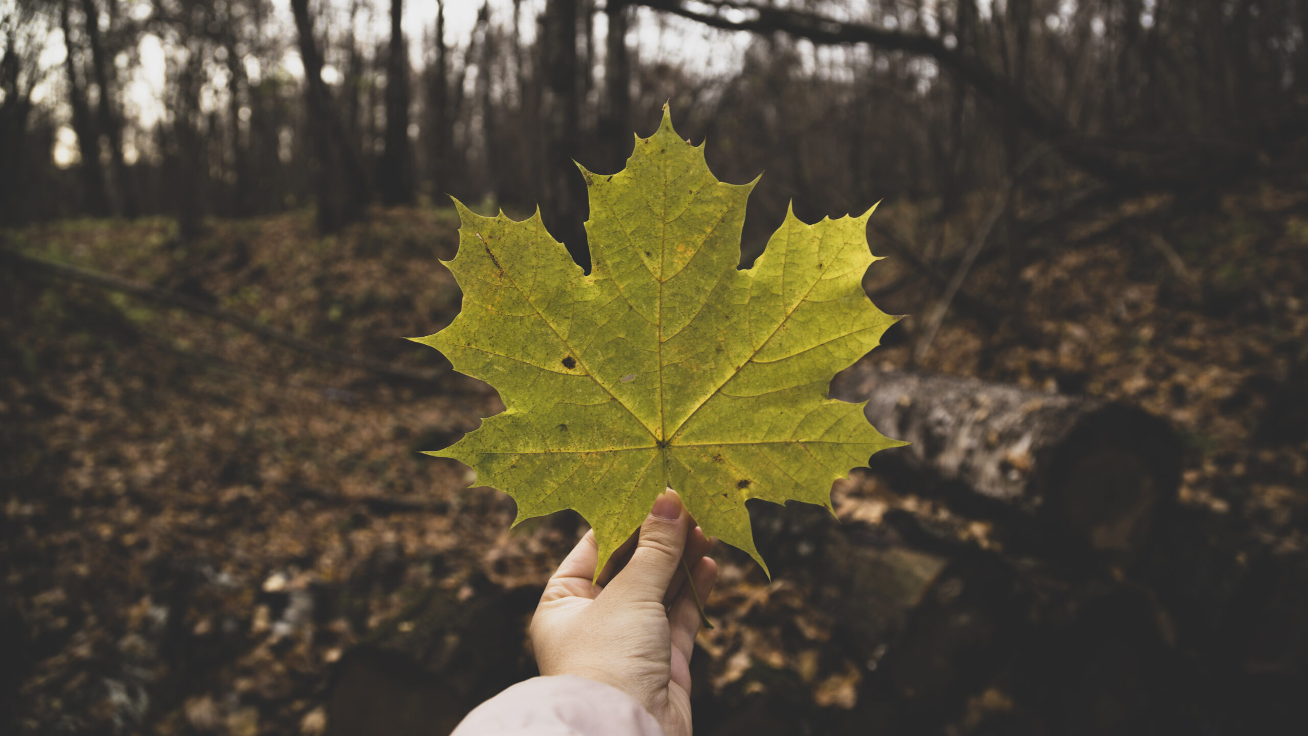 canadian funding for nonprofit organizations