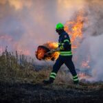Firefighter tackling a wildfire in dry grasslands, reflecting the urgent need for charities in Canada like the Red Cross to support survivors in Newfoundland and Labrador.